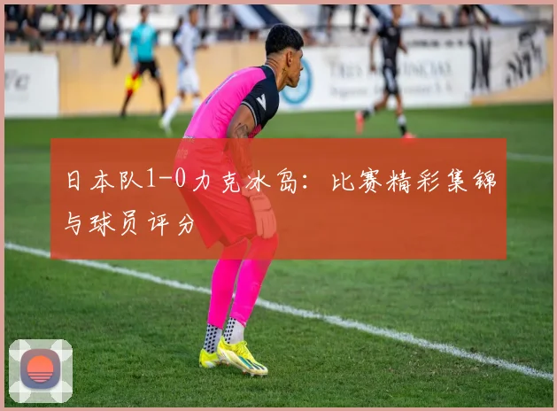 日本队1-0力克冰岛：比赛精彩集锦与球员评分