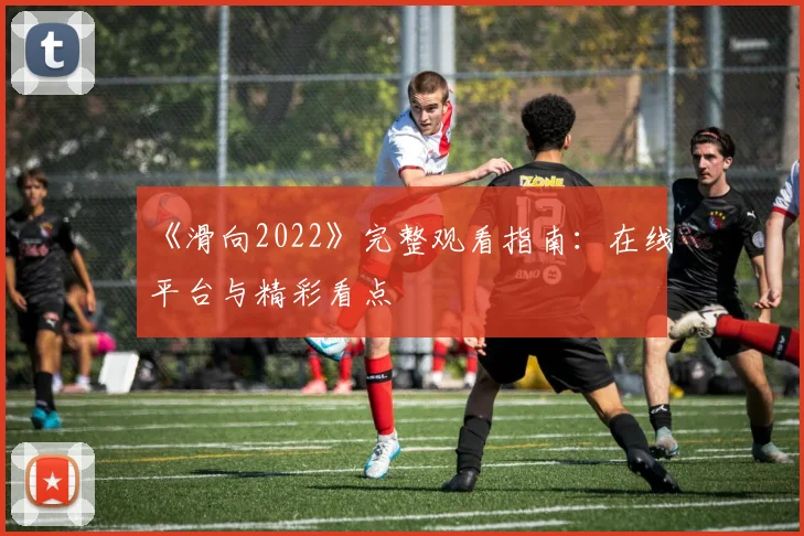 《滑向2022》完整观看指南：在线平台与精彩看点