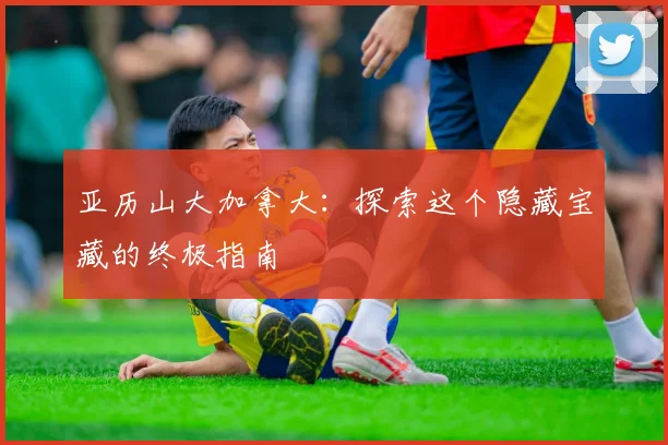 亚历山大加拿大：探索这个隐藏宝藏的终极指南