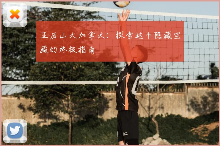 亚历山大加拿大：探索这个隐藏宝藏的终极指南