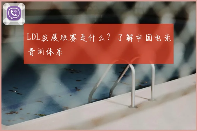 LDL发展联赛是什么？了解中国电竞青训体系